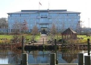 Microsoft Digital Signage